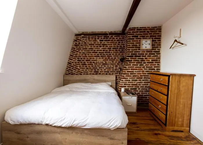 Vieux Lille Triplex De 100 M2